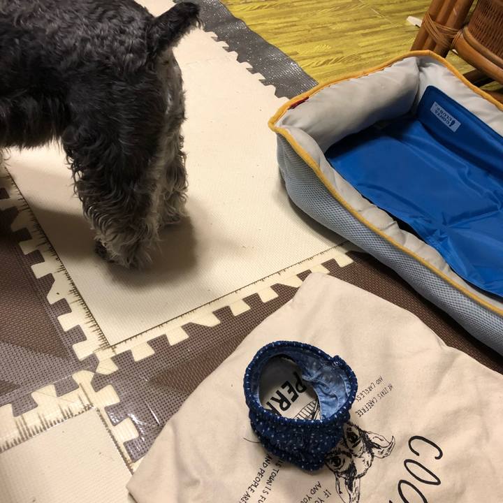 9fbe57fa 1e29 4800 a6c3 fa6d48a58029 1530927992655