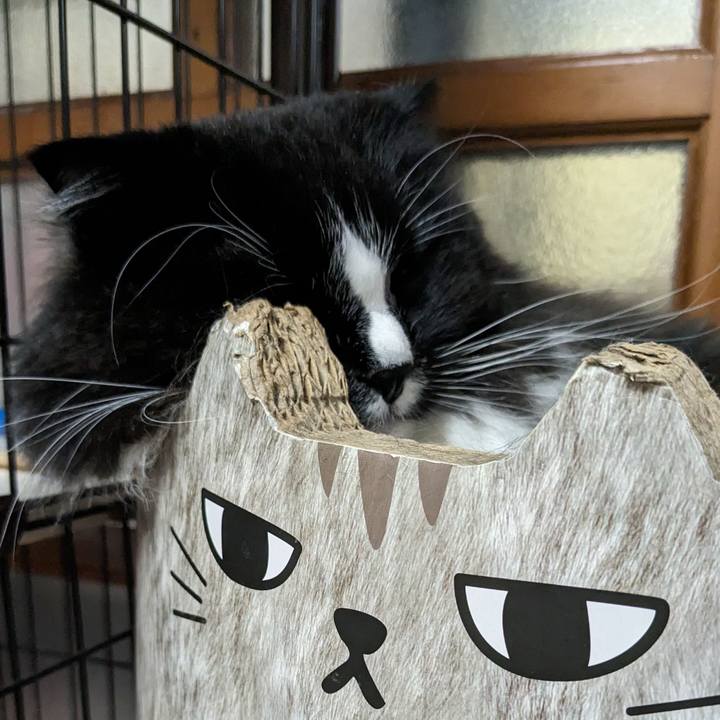 9fbe730d a66f 4d22 8126 c31179922d19 1713742889918