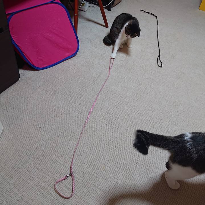 9fbe94fb c1c6 4d52 9699 3ed163282495 1665848682051