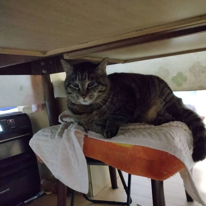 9fbec643 5059 4798 8590 66e56613d33f 1681769981489