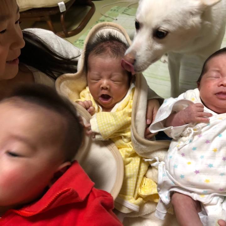 9fbf1edb 5bce 4443 a973 0ab7131e4552 1581074521568