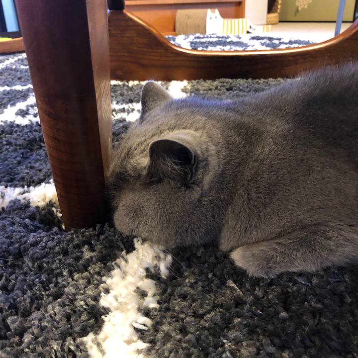 9fbf2fac 34c2 454d ae33 fa21436f658e 1580369199884