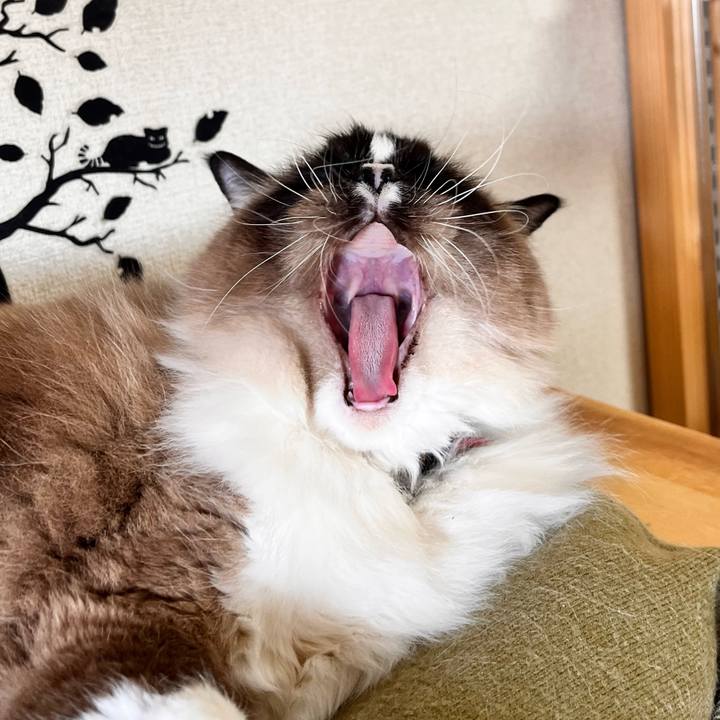 9fbf3e70 0c1a 4564 979c 1d76980bcc1a 1677031248984