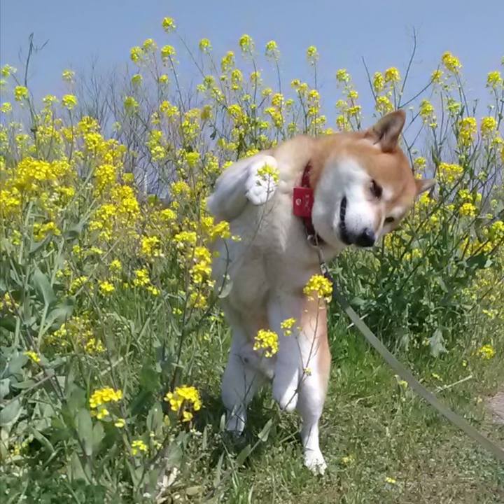 9fbf8bcd 0995 4770 9e9c 3f9a5346961a 1649308685013