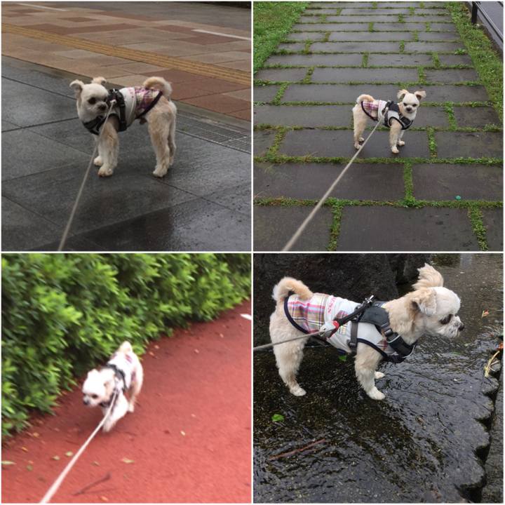 9fbf8bec 52b1 4a6b 87ac 225916ae786e 1561885173581