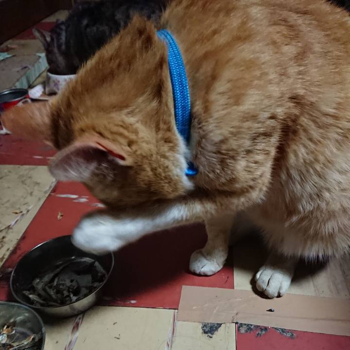 9fbfcf49 dfe3 449b 89f1 05fa493dd820 1555273054012