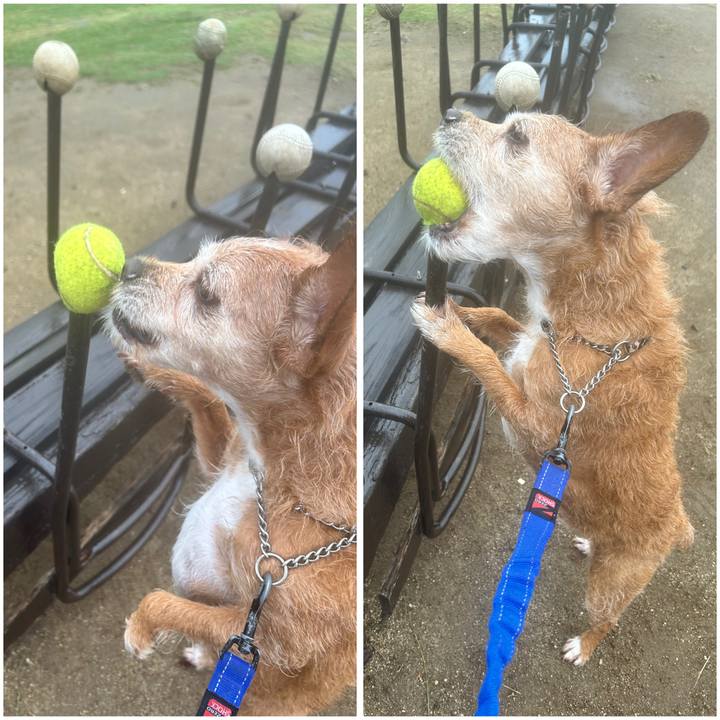 9fbfd6b1 2332 4b51 a0d6 c91a283221c3 1761971965767