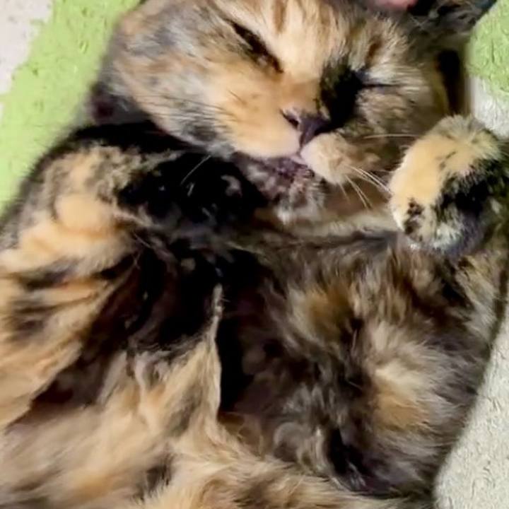 9fbfdbb2 a29e 48b3 bd07 cec71b71dc52 1753730733919