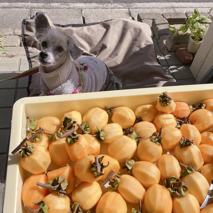 9fbffa44 2ef3 44ec 94ce 464975c54a00 1761623835397