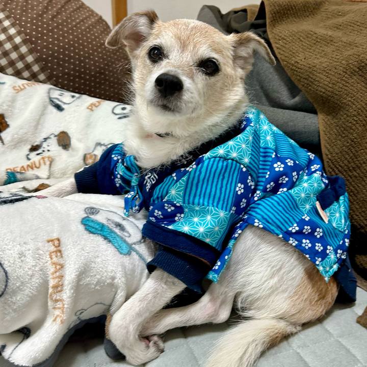 9fc00954 b689 4c3d b12c c076ecb503a3 1737630902960