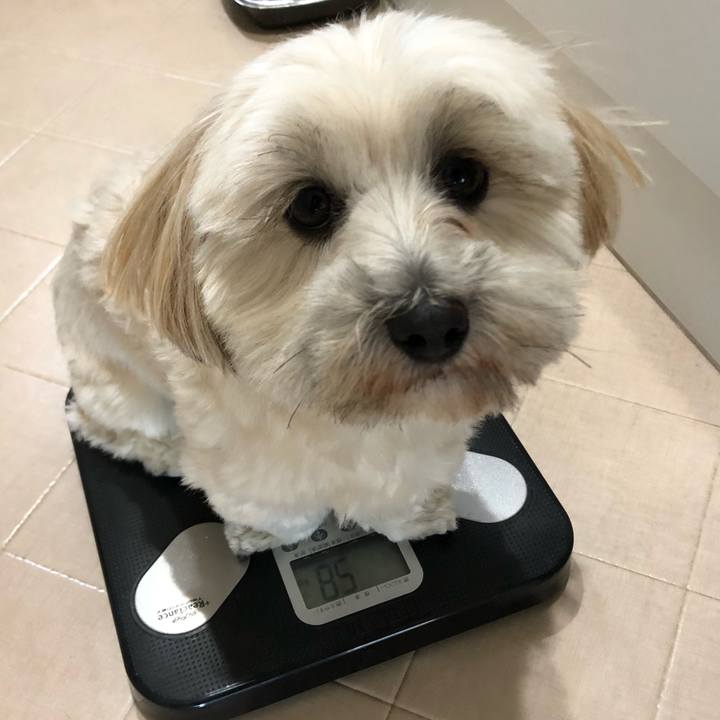 9fc04f24 2073 4ca9 b1c2 fa74fce48e10 1511099188558