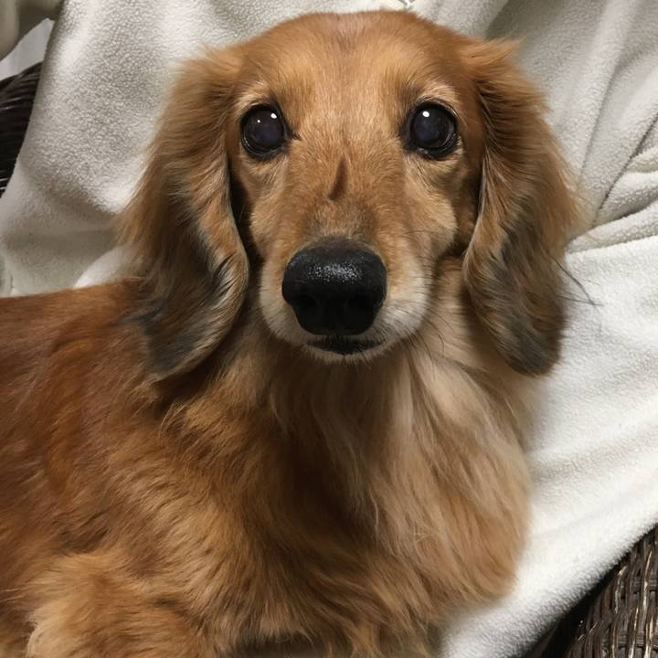 9fc04f70 05e8 42da be24 40cb70c805fb 1612613078544