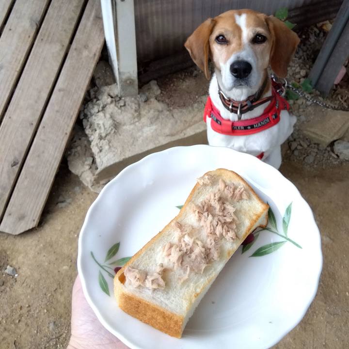 9fc0647a a667 4c31 a468 143c618829e7 1701064042877