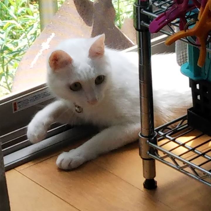 9fc0699b e791 411f aa70 7aa5725d2f28 1625887624391