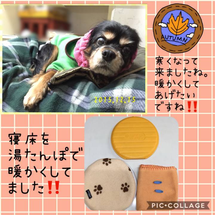 9fc0ab04 9f66 4f35 af4d c3b82c3890d9 1574152920137