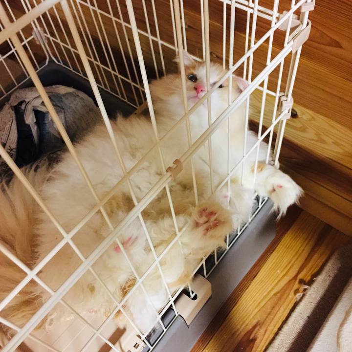 9fc0cadb 8b8f 462e 9939 af8b2d1d70ff 1577600524536