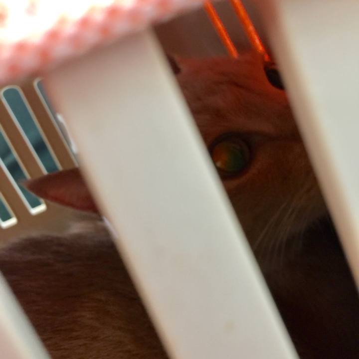 9fc116c3 edbc 4946 9646 a97e97a631da 1578880936212