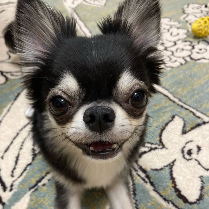 9fc12b1e 28b6 4afb 8a3c 57ff4e67a3cc 1626615935330