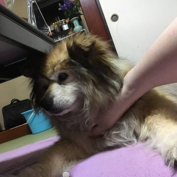 9fc131ba 640b 4251 9e8a e2865b31684a 1560018067151