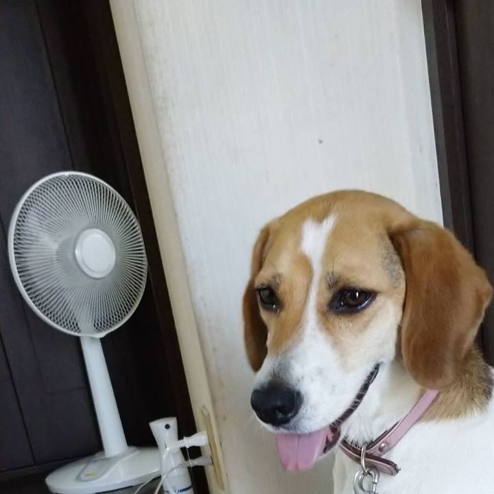 9fc15537 562f 4d39 953b 80ff9c75e205 1595229595945