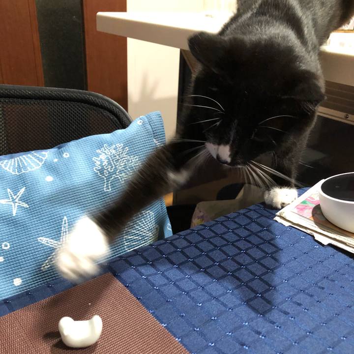 9fc16fc6 006c 4cfb adef 7ec58e90269a 1629949904851