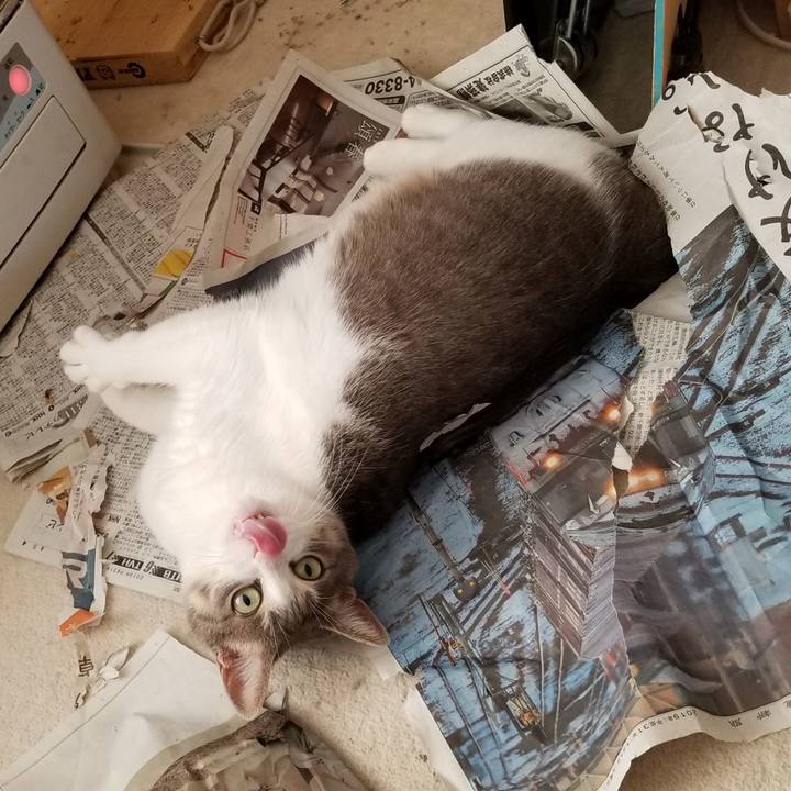 9fc1ab1e 7db4 48f8 a62b f9c4e300ffa2 1547252899202