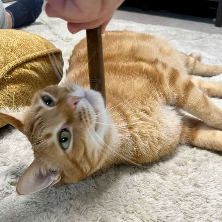 9fc1b8ae 07e5 4997 a364 9da7c1beedc5 1667433105262