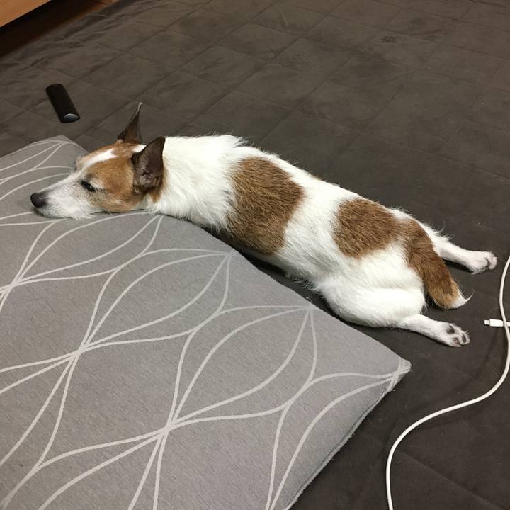 9fc1d52b 3d91 487b a830 0f4d288275d2 1630109504231