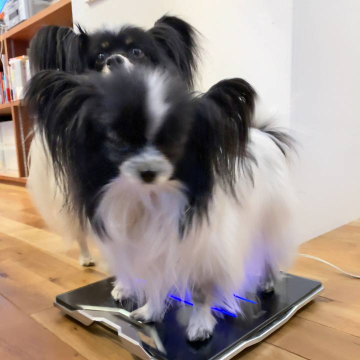 9fc1f888 b251 44f8 955e 11f0605cc615 1554757075315