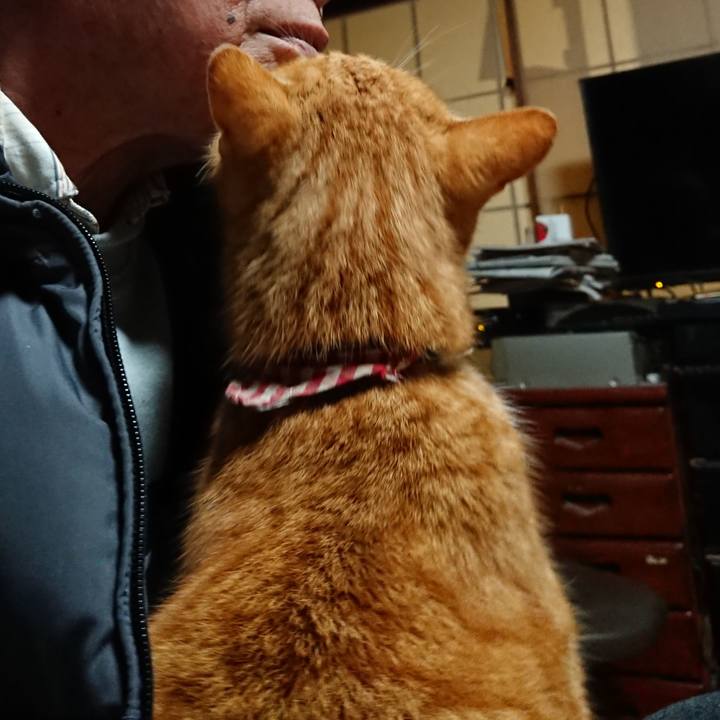 9fc21480 f9b8 42d9 9d18 501db583edb3 1608754543302