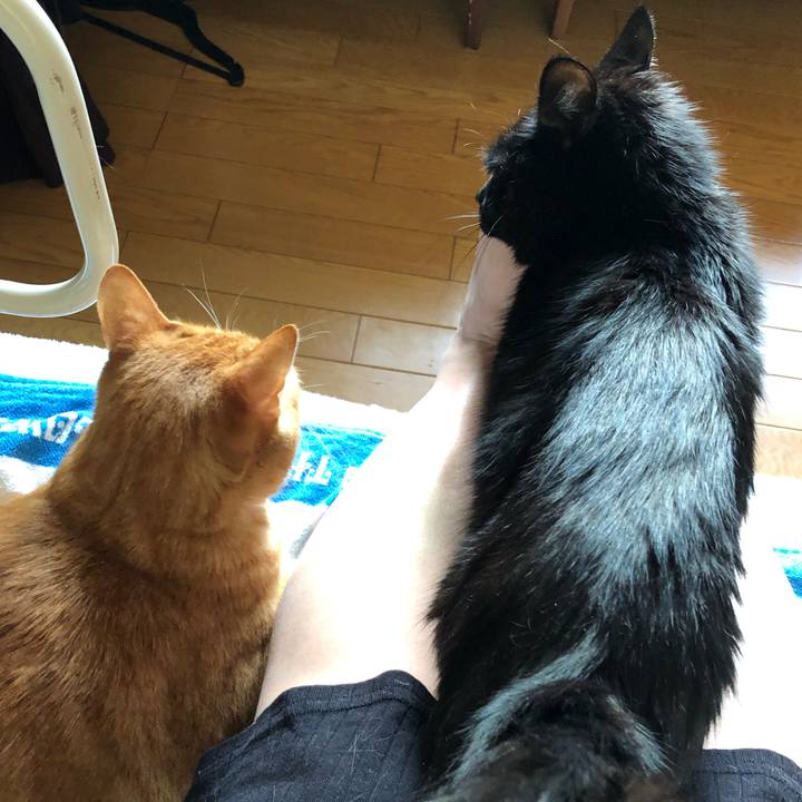 9fc2163f 88e5 49c2 9c3a 8ede03bf5fe1 1568841487920