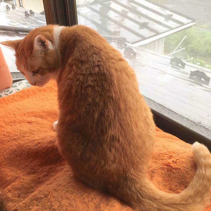 9fc2256b 5d5a 4d50 8b51 53ffc9a1a2ec 1563352416403