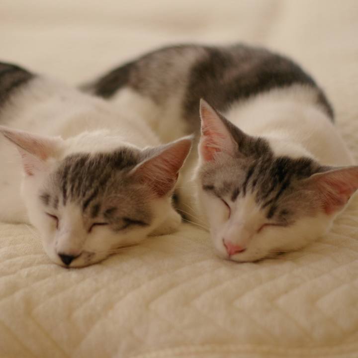 9fc26373 3610 494f 91b2 d99090236e38 1525231138642