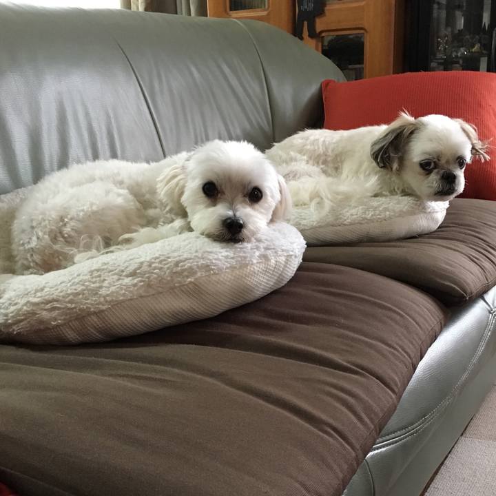 9fc26610 1900 4a33 a443 2452a80a2ade 1570707826354