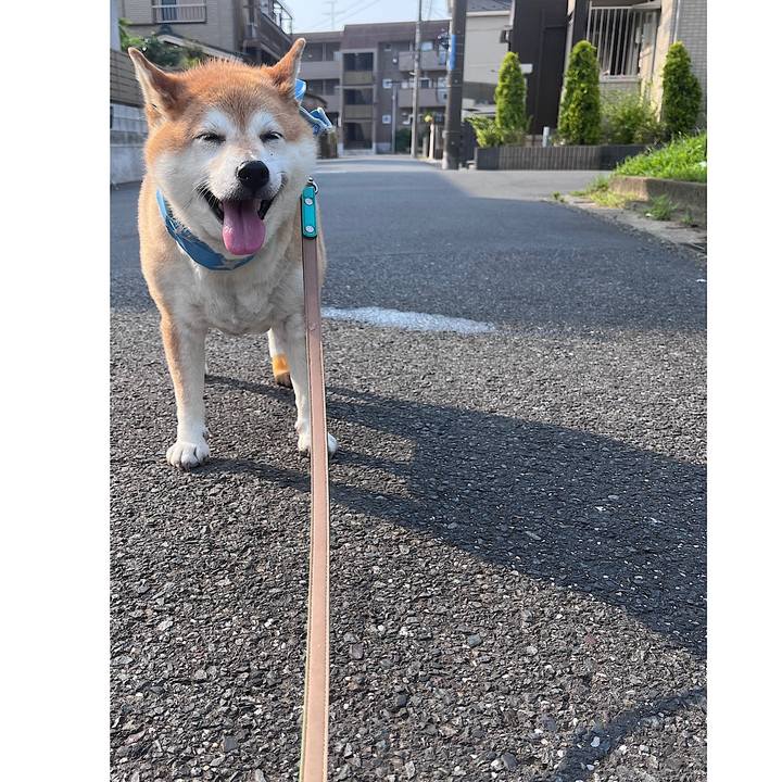 9fc26f7b 7a60 499a a124 270a1da0f671 1720219451473