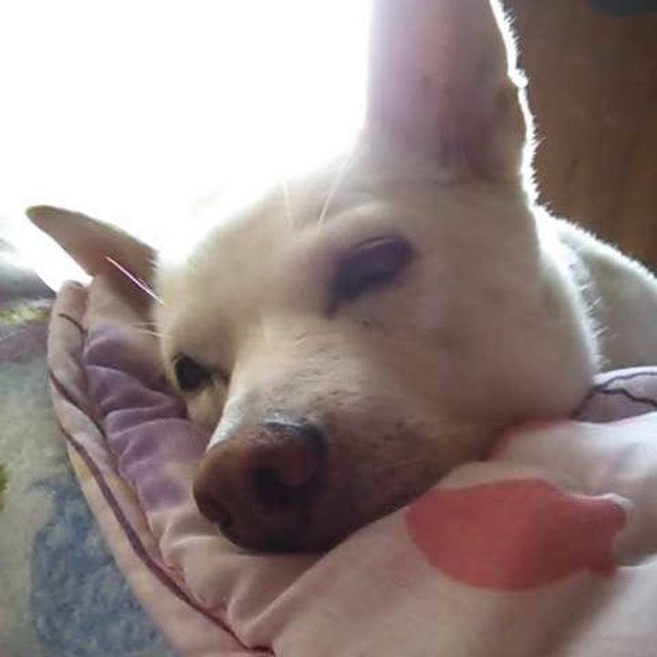 9fc2708b 55cd 4671 b47f f8bf48f5d77b 1758363829830