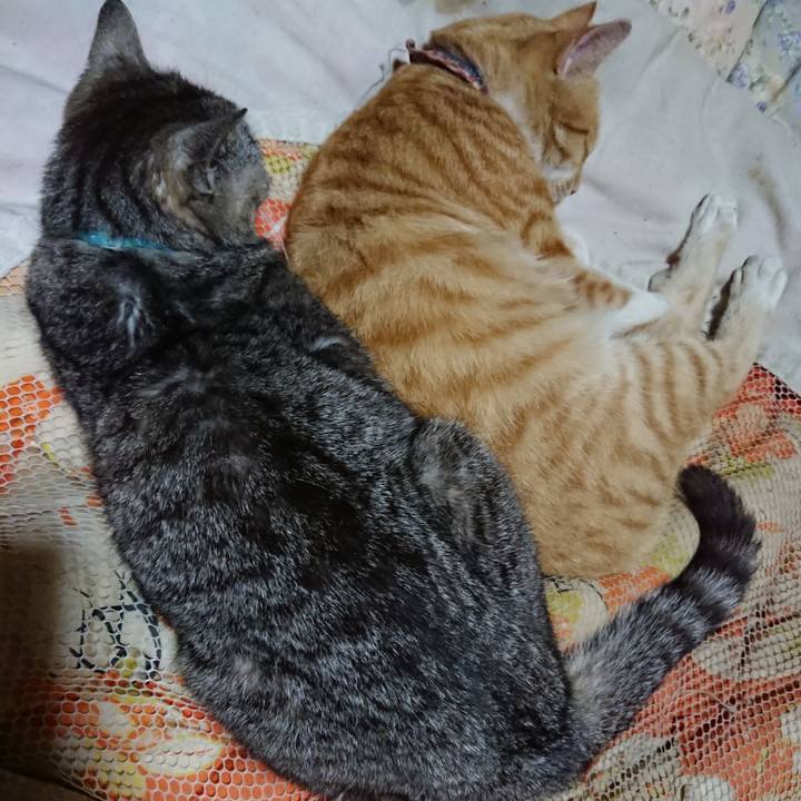 9fc27342 8fd0 41b8 922c b2156a63d666 1562678418308