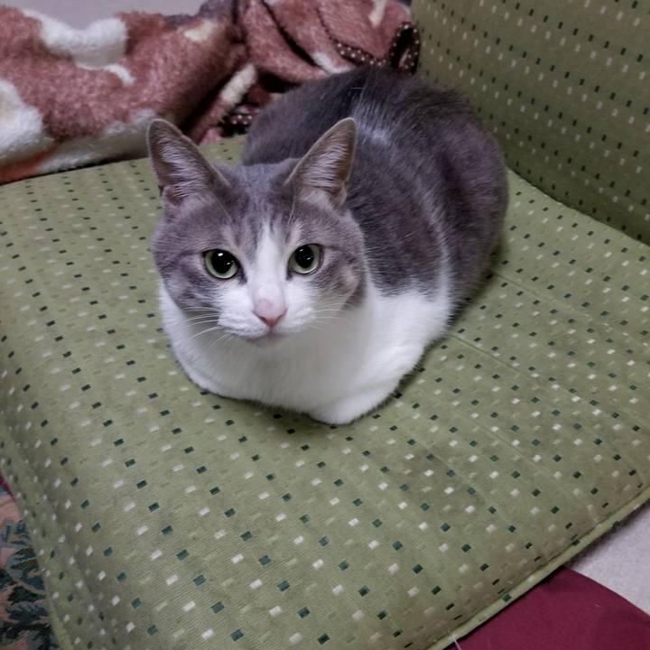 9fc2a43b 9abe 41d5 9510 c8cfc273c0c3 1515833224094