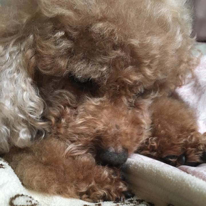 9fc2b018 215d 42ec bd8e 85b204ac5974 1556893806055