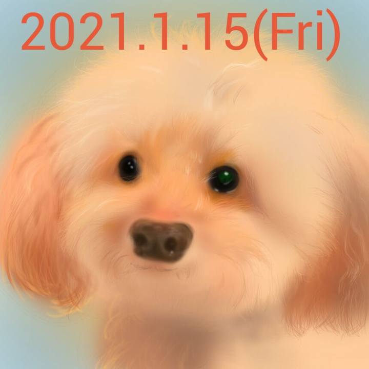 9fc2b122 1575 4ebc 8278 94bc7bf5f718 1610720795612