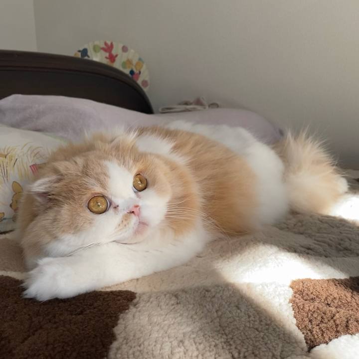 9fc2dd17 b876 4178 bd5e 050051d637a5 1638708735515