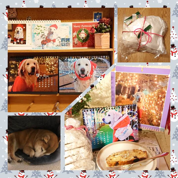 9fc31af9 4e5f 4de3 95d9 5e357d80ffb4 1639308247800