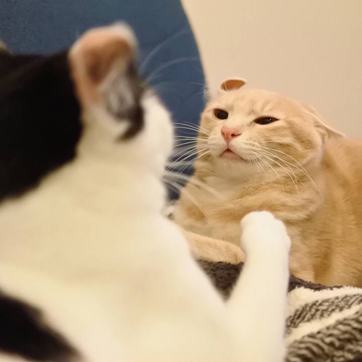 9fc3220e 3106 4706 b239 5357e5520be6 1552918450674