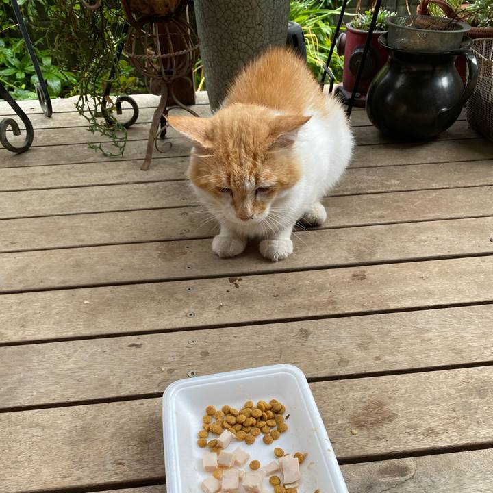 9fc383d3 eeae 4850 b1bc 555edc7d6d38 1660379310416