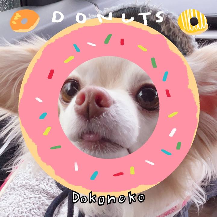 9fc3b4b5 17af 4f7f 81d8 29d1b4f74891 1744291419123