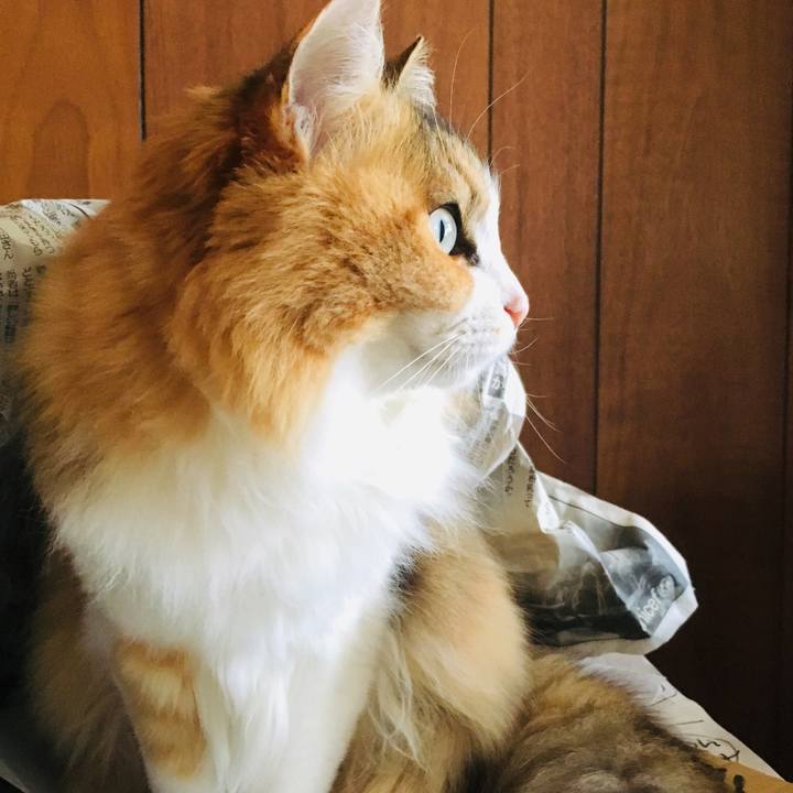 9fc3ecb0 9d84 4166 9a31 1b886309b02a 1557783954934