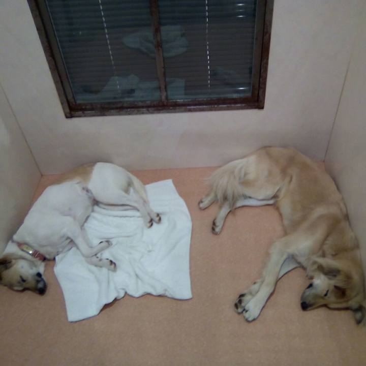 9fc3f41b 25b4 475b beaa d52d002cdbcd 1523112155787