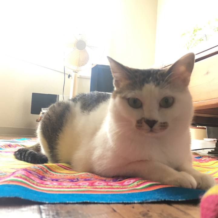 9fc411dc ceb5 4786 a291 7cc3ab2fd679 1525655344186