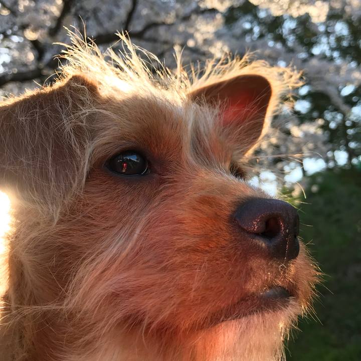 9fc44659 0cbb 4c42 a42b bb20832de93f 1523520032556