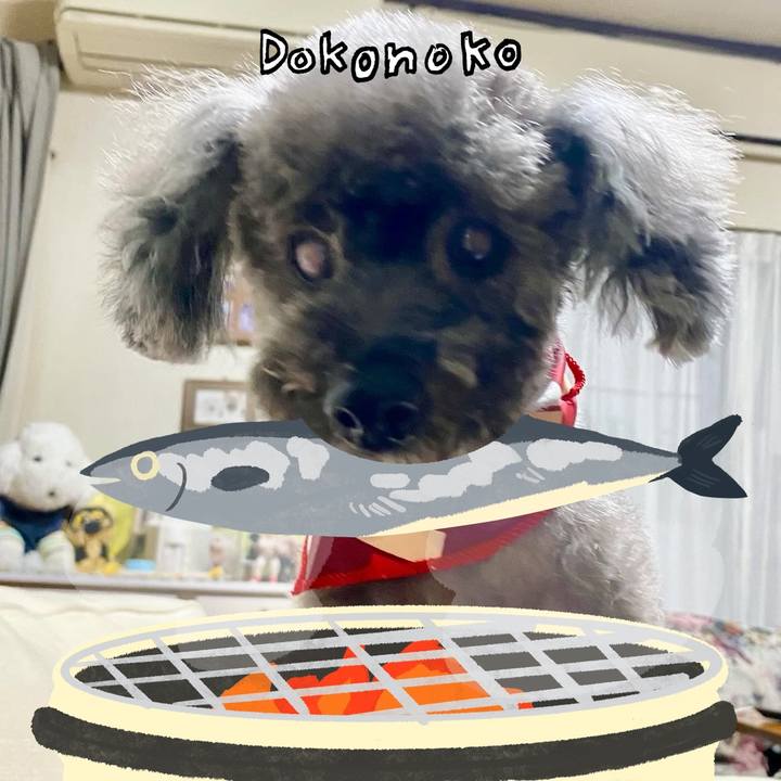 9fc46112 d3fe 4e19 908b 140338ba942c 1761195284411